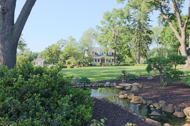 view of yard with a garden pond