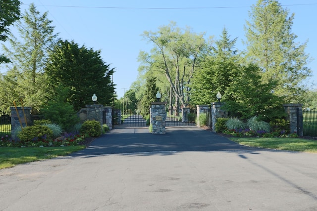 view of street featuring street lighting, a gate, and a gated entry