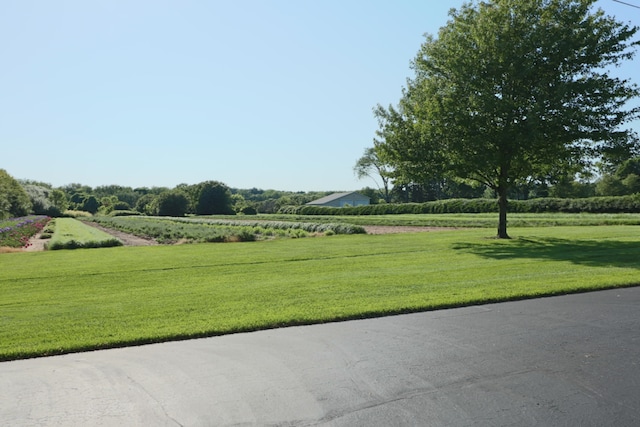 view of home's community featuring a yard and a rural view