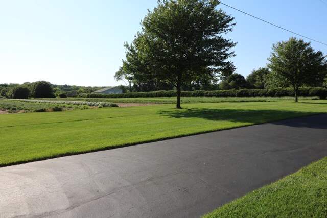 view of property's community featuring a yard and a rural view