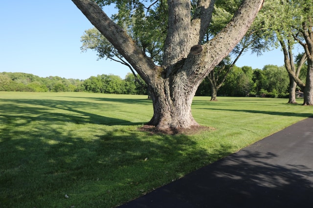 view of home's community featuring a lawn