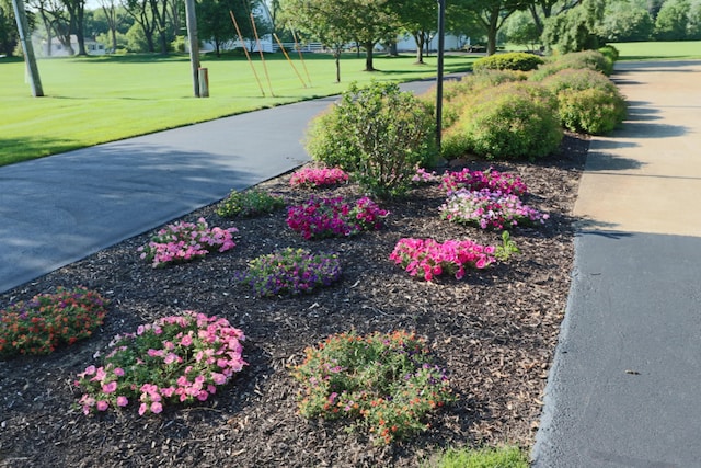 view of property's community featuring a yard