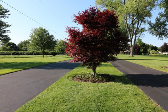 exterior space featuring a lawn