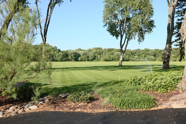 view of home's community with a yard