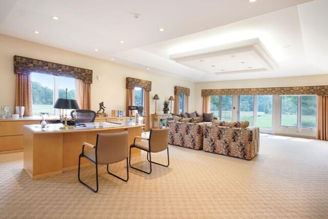 interior space featuring recessed lighting, a raised ceiling, and light colored carpet