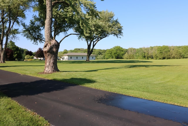 view of home's community with a yard