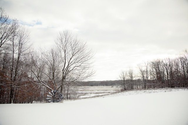 view of snowy yard