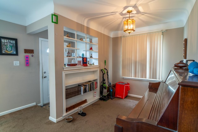 miscellaneous room with built in shelves, carpet, and baseboards