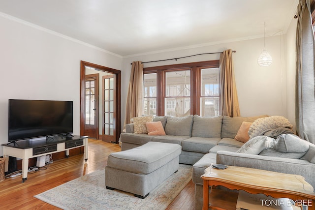 living area with wood-type flooring and ornamental molding