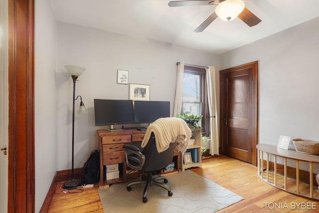 office featuring a ceiling fan, light wood-style flooring, and baseboards