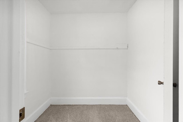 walk in closet featuring carpet flooring