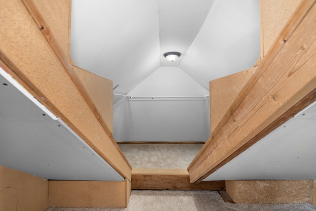 interior details featuring carpet flooring