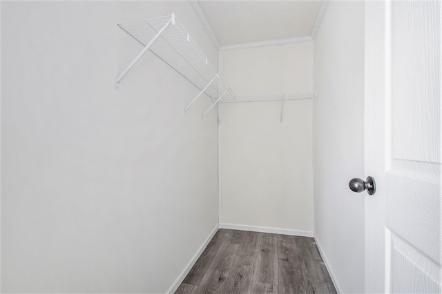 69205 Garver Lake Rd Unit 58, Edwardsburg, MI 49112 - walk in closet featuring wood finished floors