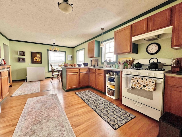 kitchen with plenty of natural light, a peninsula, light wood finished floors, and white gas range