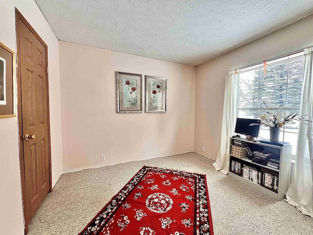 living area featuring carpet floors and a textured ceiling