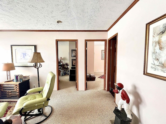 home office with carpet flooring, crown molding, and a textured ceiling