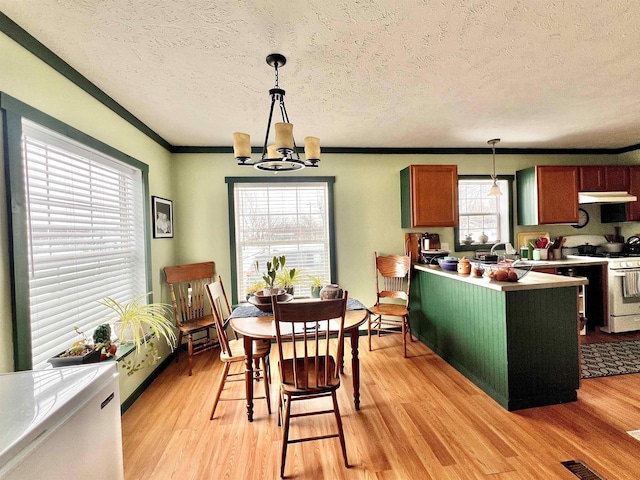 dining room with a chandelier, a textured ceiling, light wood-style flooring, visible vents, and crown molding