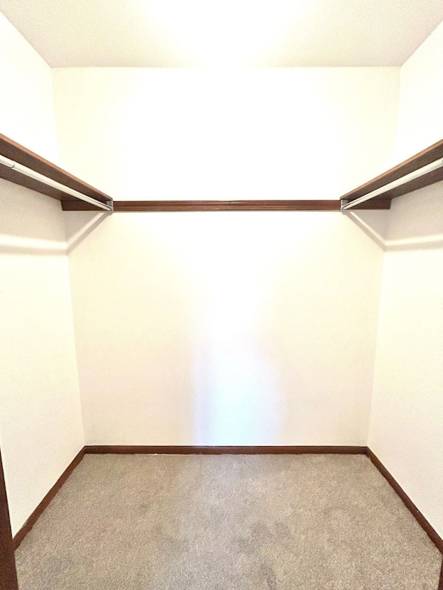 spacious closet with carpet floors