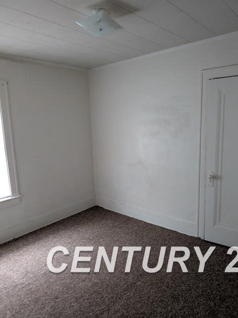 spare room with ornamental molding, carpet flooring, and baseboards