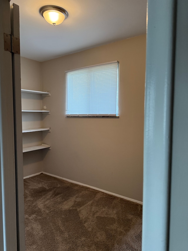 walk in closet featuring carpet