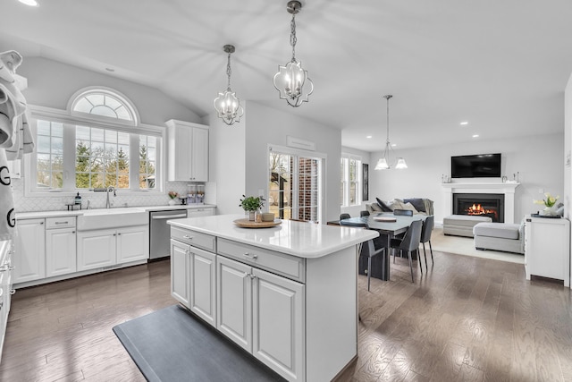 kitchen with a sink, dark wood-style flooring, open floor plan, and stainless steel dishwasher