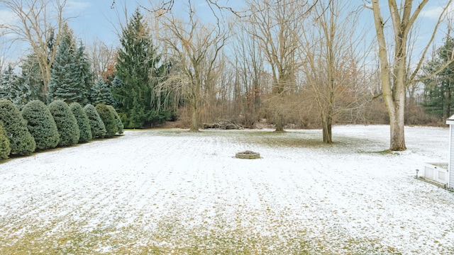 view of snowy yard