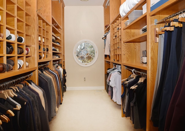 spacious closet with carpet floors