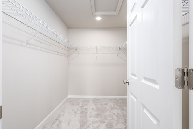 walk in closet with carpet floors