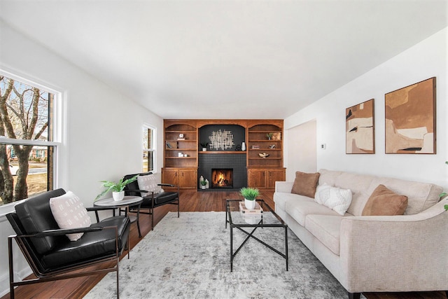 living room featuring a fireplace and wood finished floors