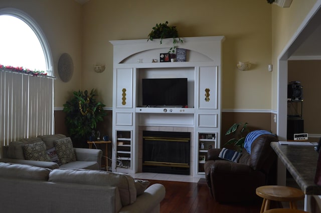 living area featuring wood finished floors and a fireplace