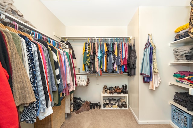 walk in closet with carpet floors