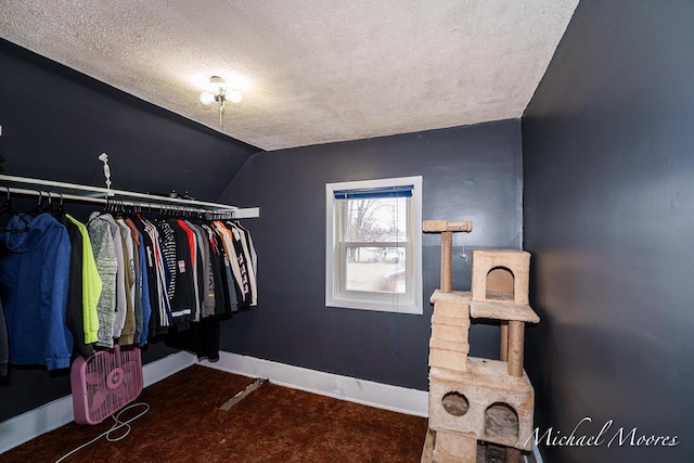 walk in closet featuring vaulted ceiling