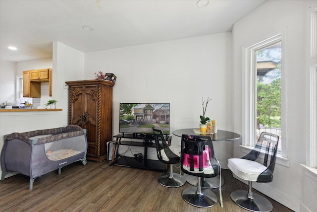 sitting room with baseboards, wood finished floors, and recessed lighting