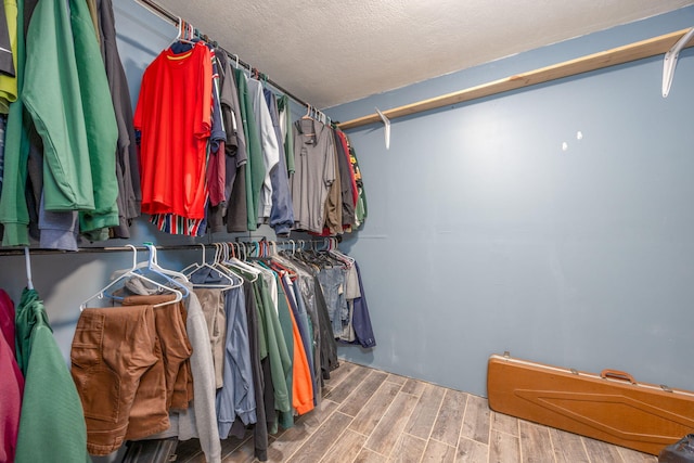 9915 85th Ave, Mecosta, MI 49332 - spacious closet featuring wood finished floors