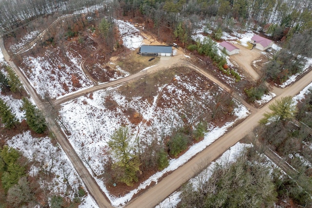 9915 85th Ave, Mecosta, MI 49332 - view of snowy aerial view