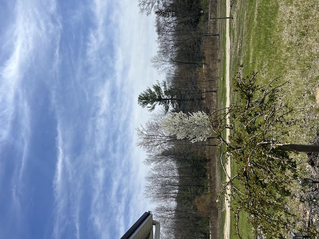 9915 85th Ave, Mecosta, MI 49332 - exterior space
