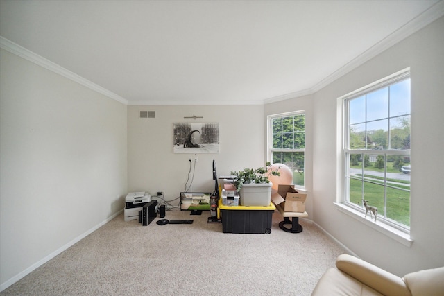 carpeted office space featuring baseboards, crown molding, visible vents, and a wealth of natural light