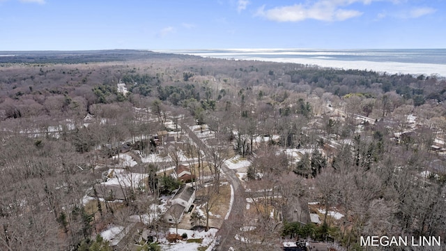 drone / aerial view with a forest view and a water view