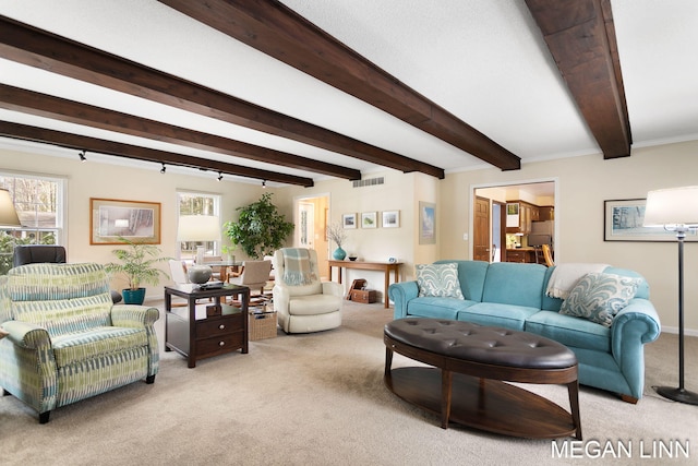 living room featuring beam ceiling, visible vents, and carpet flooring