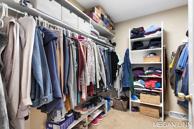 spacious closet featuring carpet and visible vents