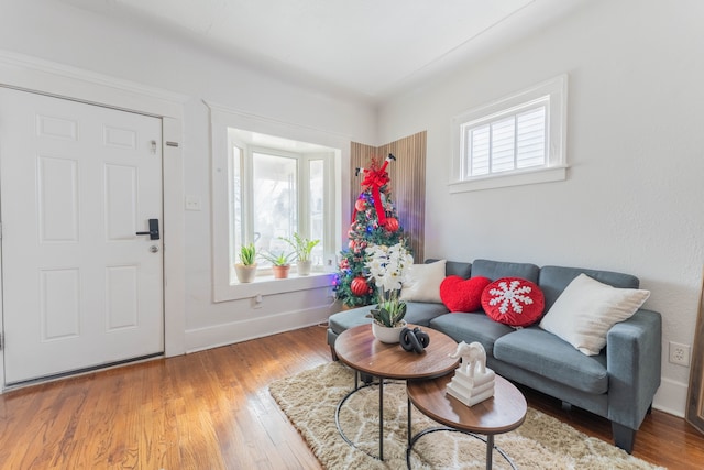 living room with hardwood / wood-style floors and baseboards