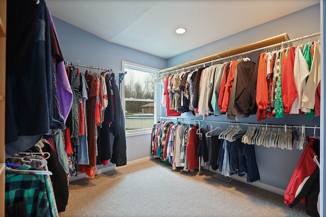 walk in closet with carpet flooring