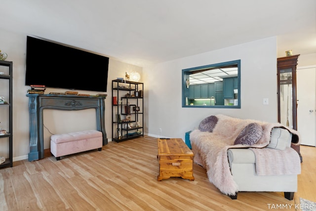 living room featuring baseboards and wood finished floors