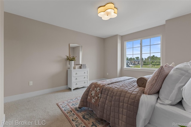 35683 Kilkenny Dr, New Baltimore, MI 48047 - photo 58