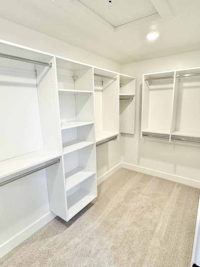 spacious closet with light carpet