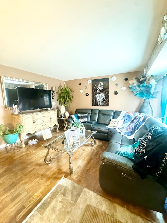 living room with wood finished floors