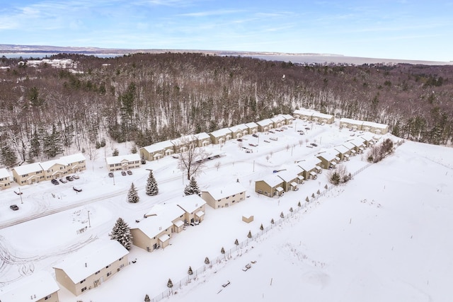 snowy aerial view with a forest view