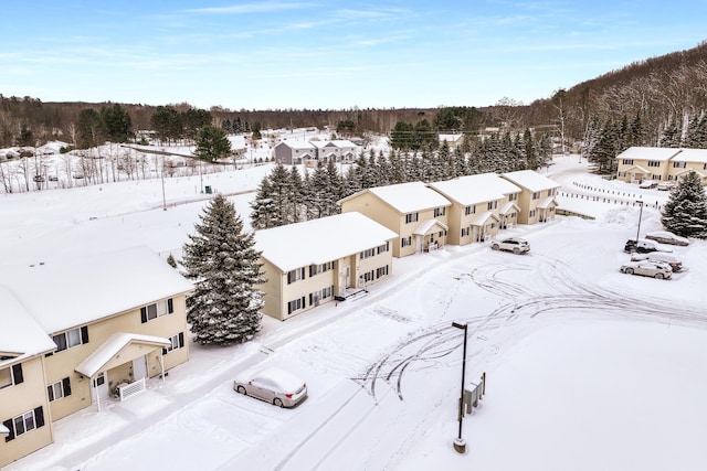 view of snowy aerial view