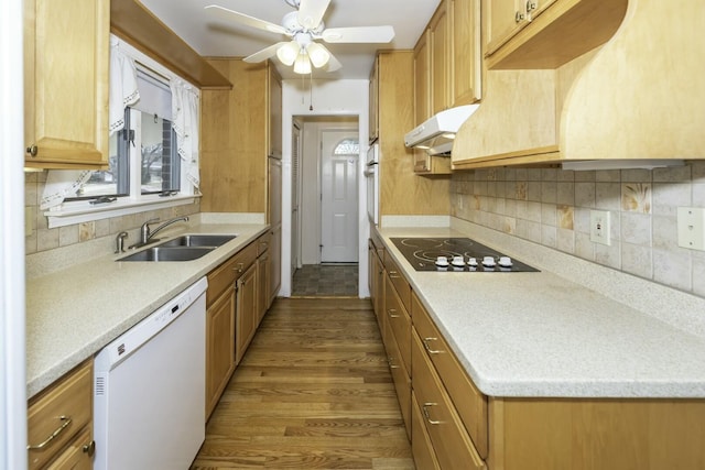 kitchen featuring dishwasher, black electric cooktop, light countertops, under cabinet range hood, and a sink