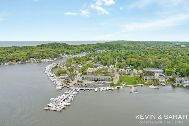 birds eye view of property with a water view and a forest view